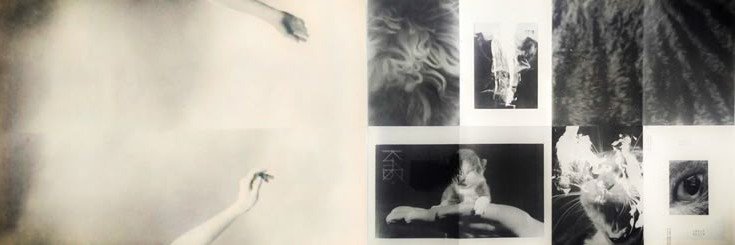 ༊·˚'s banner