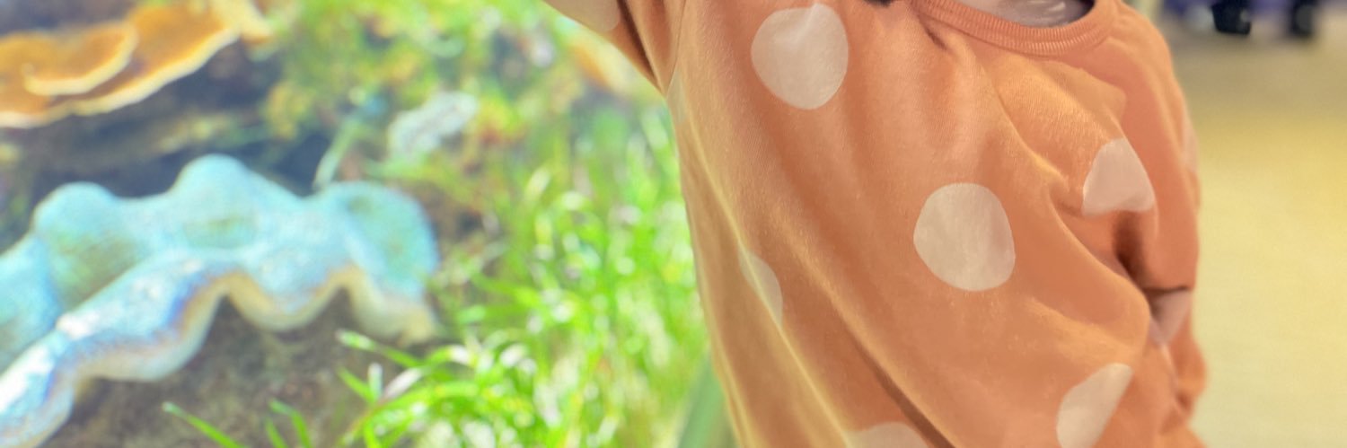 🧬ちょどさん🧬 gomining's banner