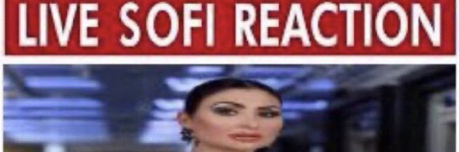 Pamela Carnes (Sofi Marinova Updates)'s banner