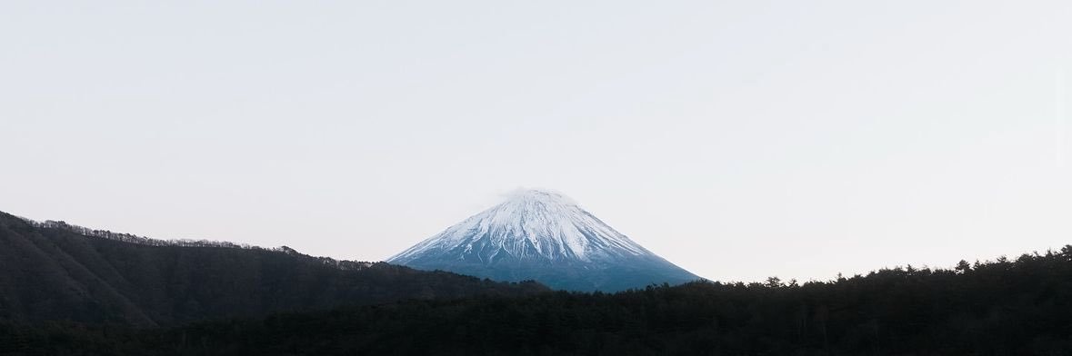 バズ笑い動画bot's banner