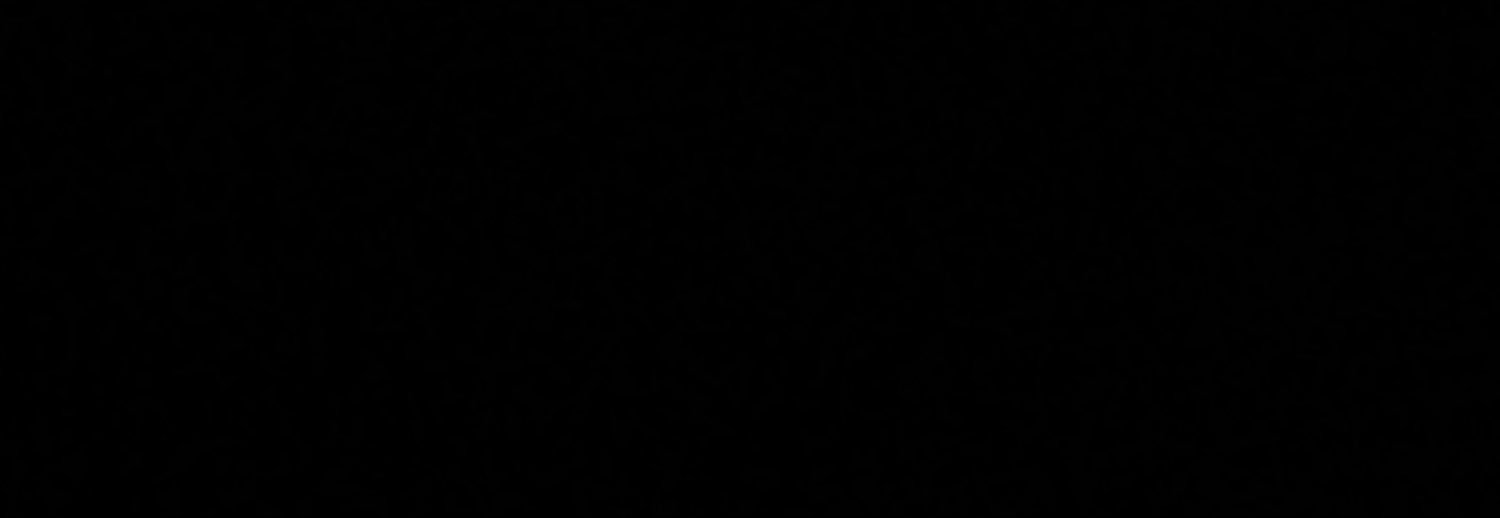 Twis hashom's banner