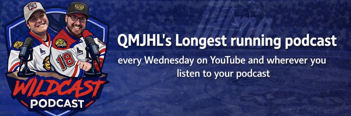 🎙Wildcast Podcast 🎧's banner