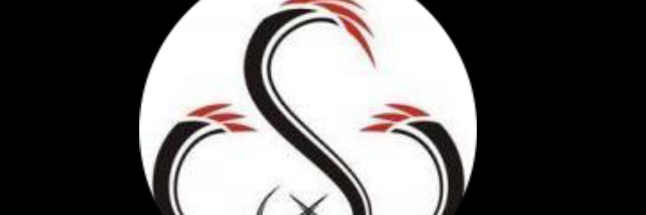 Deniz's banner