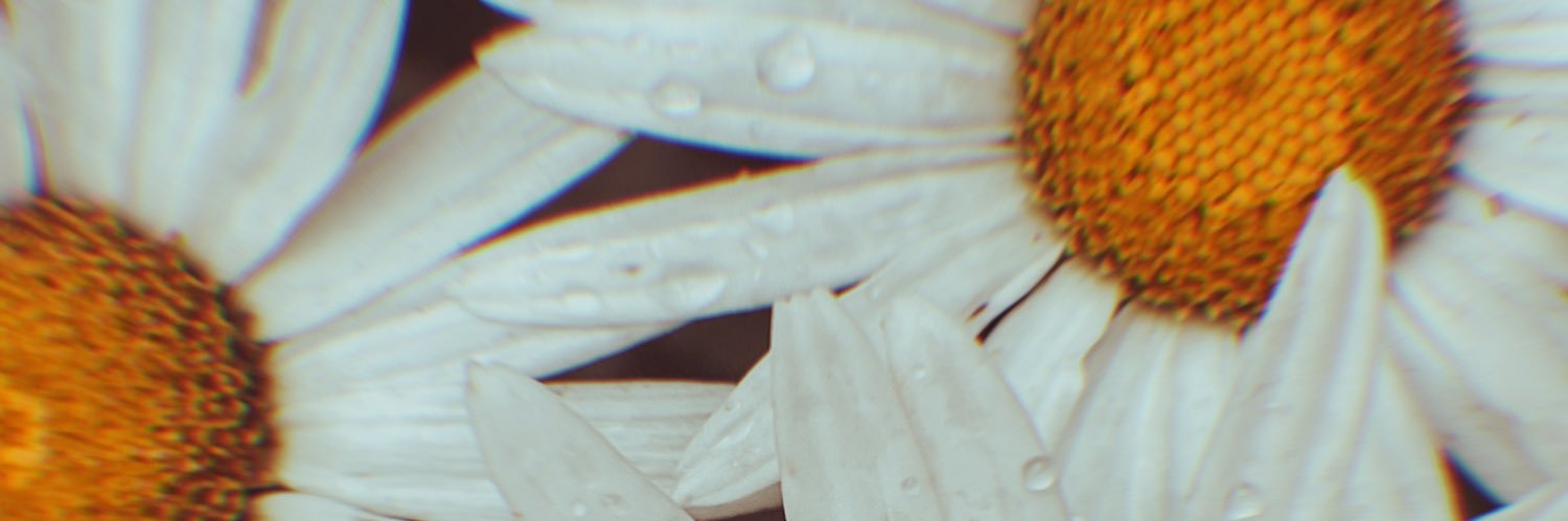 Taylor 🌻's banner