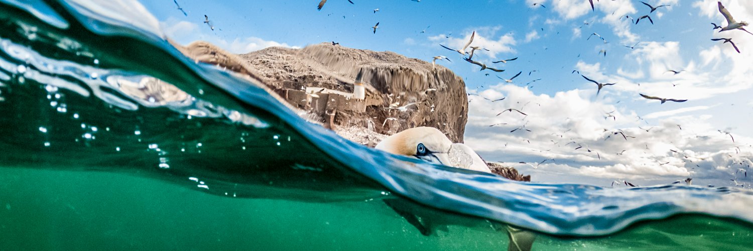 Scottish Seabird Centre's banner