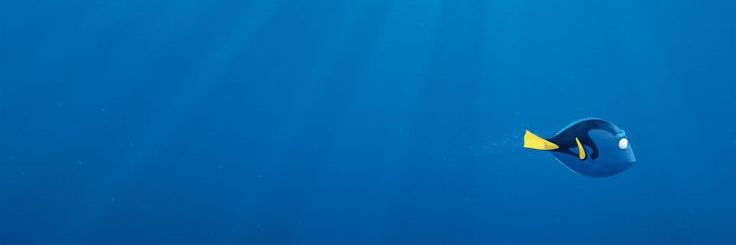 Barco Aiteda's banner