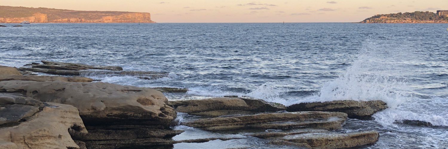 SydneyFFtwink's banner
