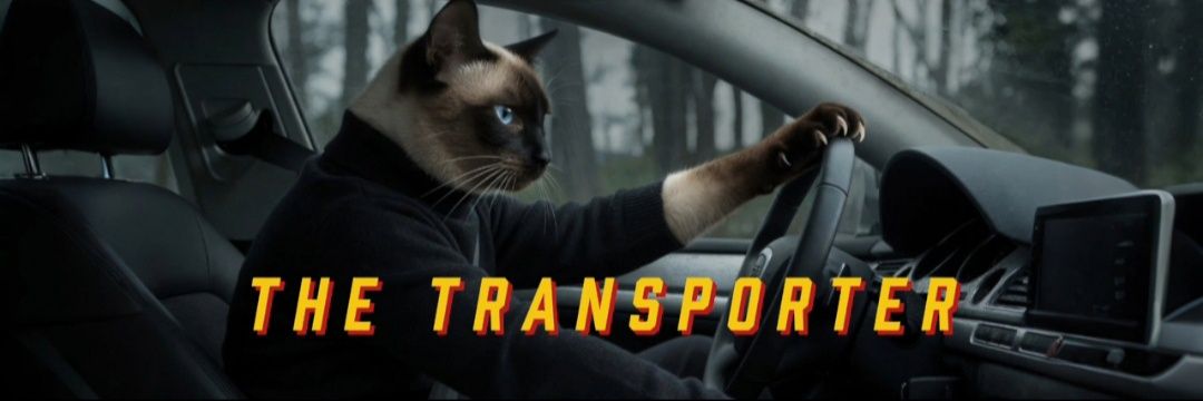 El Gato xXx's banner
