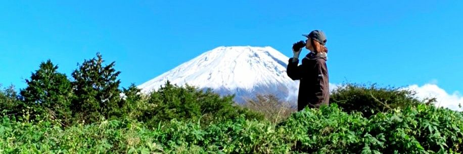 加藤ツバキ's banner