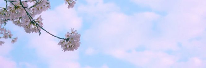 نورة العتيبي| تقنية تعليم's banner