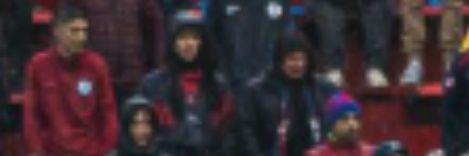fran's banner