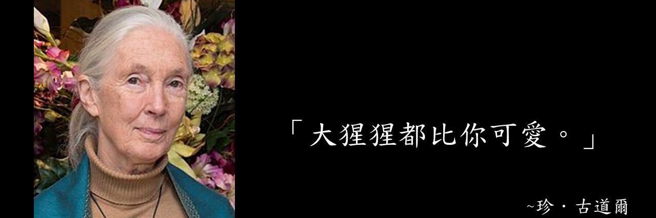 移動飛機杯💦💦's banner