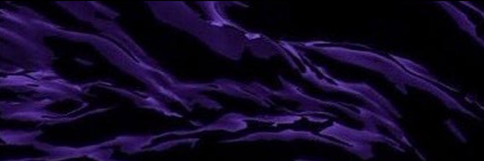 sel's banner