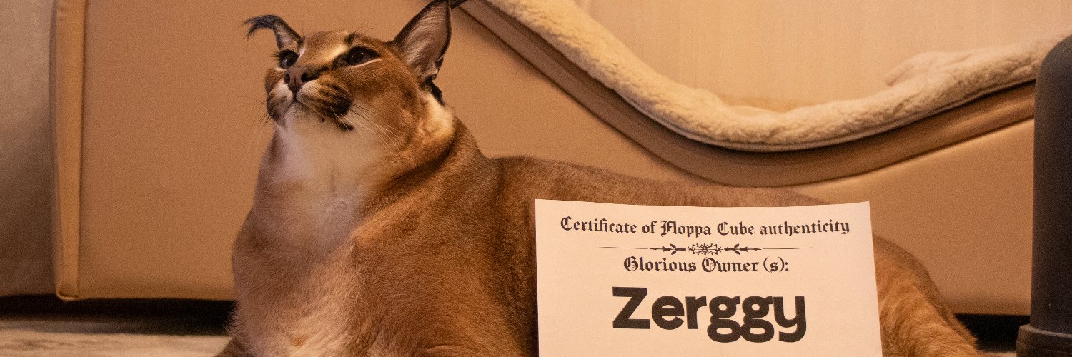 Zerggy's banner