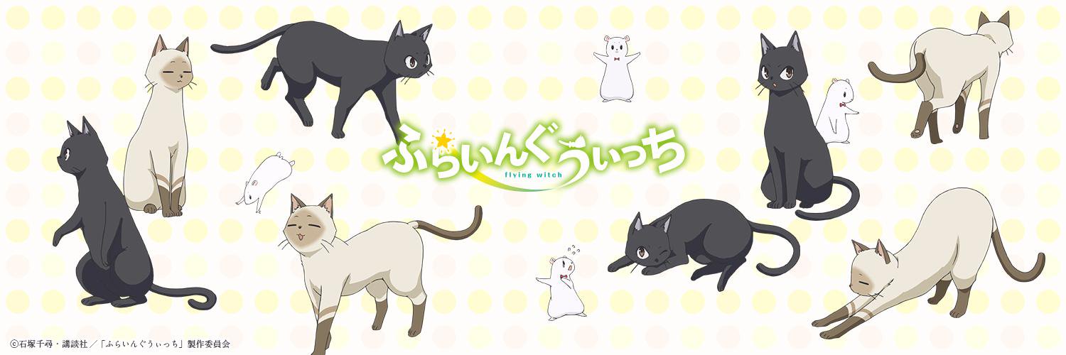 咲村珠樹 (Tamaki SAKIMURA)'s banner