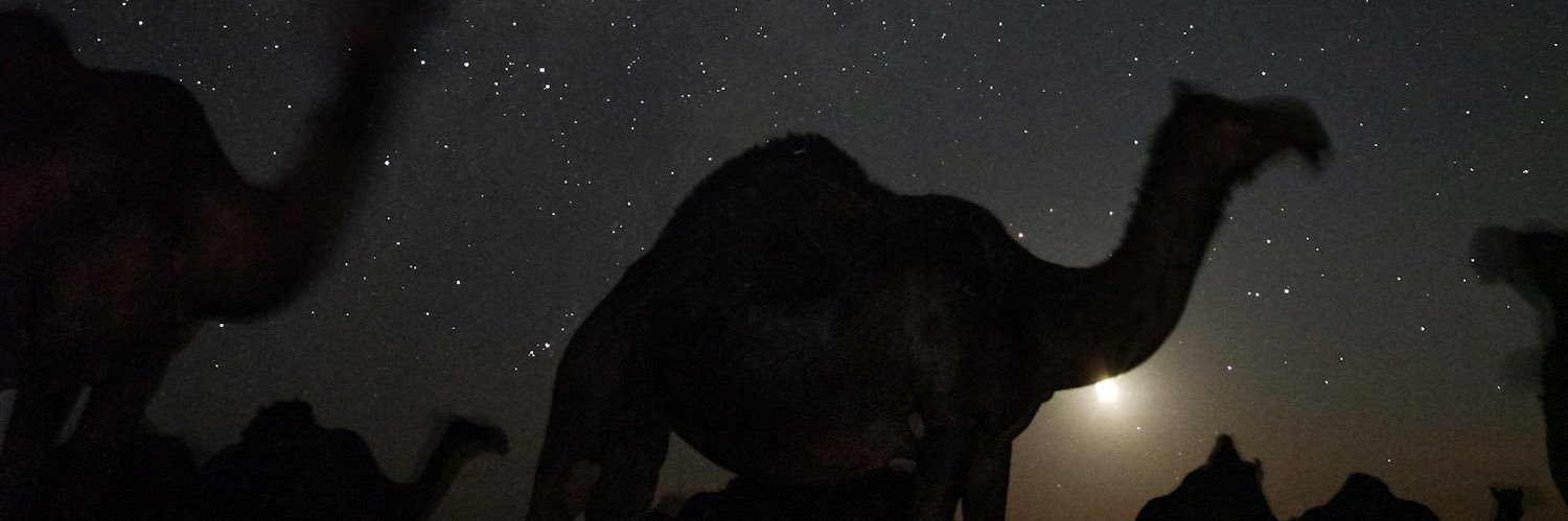 لا منتمي |'s banner