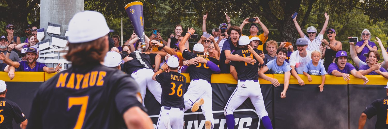 #PackTheJungle🏴‍☠️💍's banner