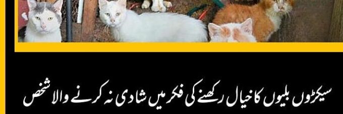 BUNTY.'s banner