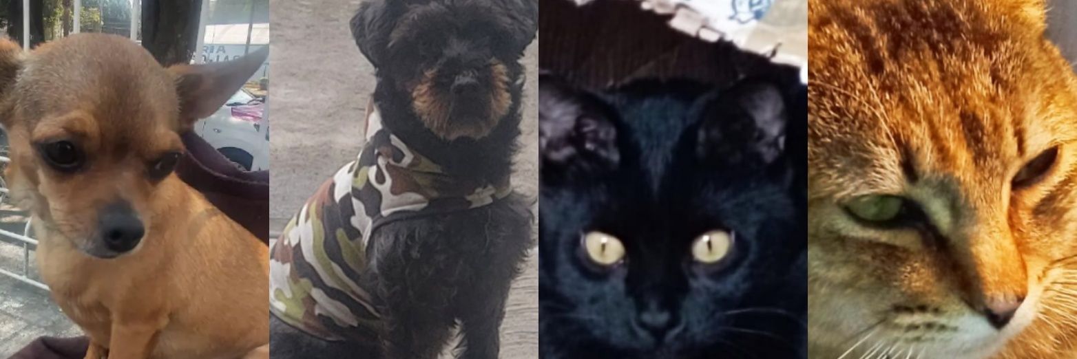 Mary Sandoval 6476❤**'s banner