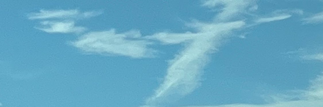 𝔰𝔞𝔪𝔲𝔢𝔩's banner