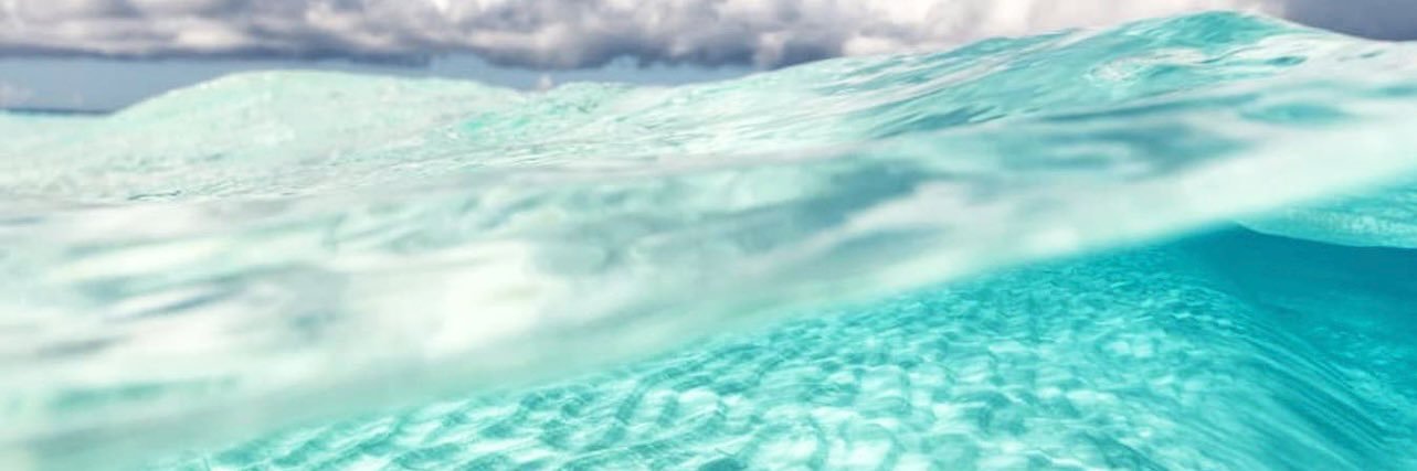 ᗷᗩ𝗂🐠🫧's banner