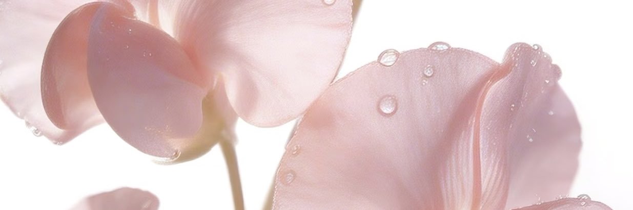 lir_yuan's banner