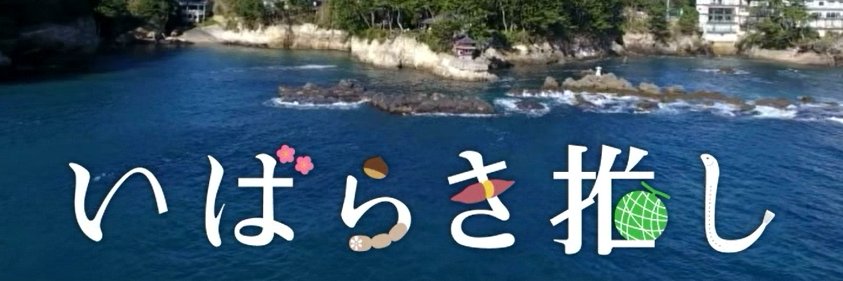 茨城県テレビ広報「いばらき推し」公式's banner