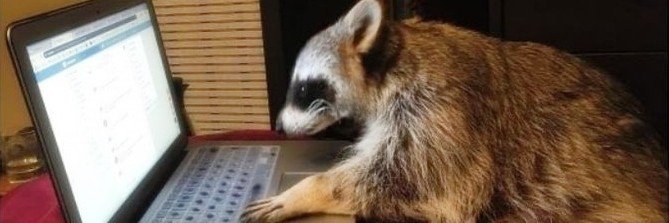 Alex🅿️C00n🦝 (Bogart) 🔜 CONFUROR 2026's banner