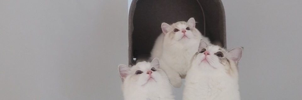 𝚑𝚊𝚙𝚙𝚒𝚗𝚎𝚜𝚜 | วิบ์มณ์'s banner