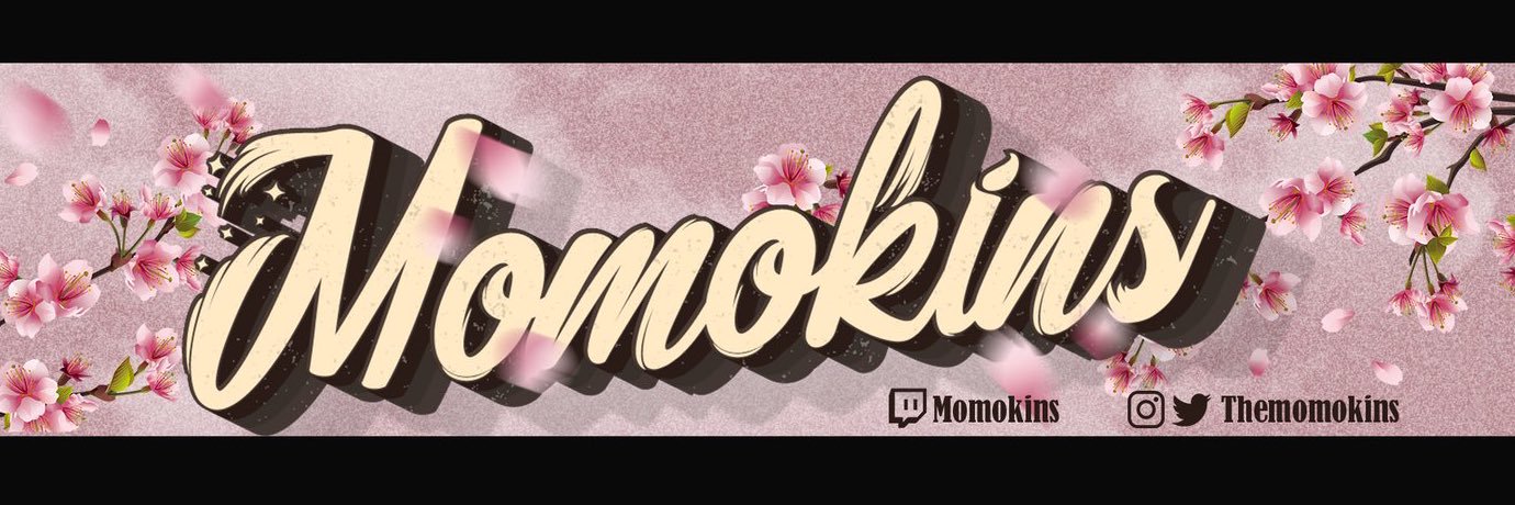 🌸Momokins🌸🔜CEO's banner