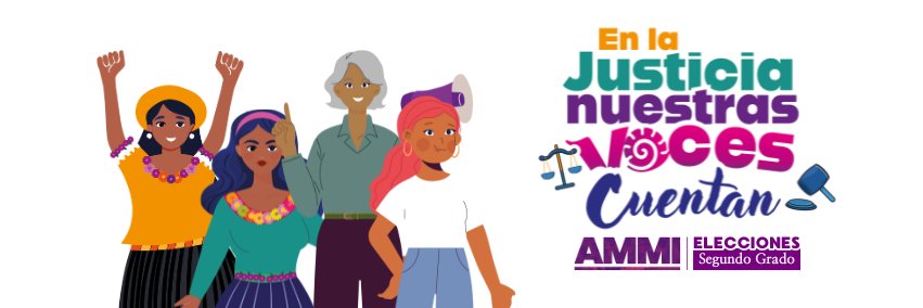 Alianza de Mujeres por el Acceso a la Justicia's banner