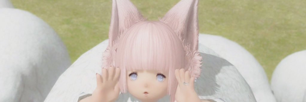 獣もっふもふ's banner