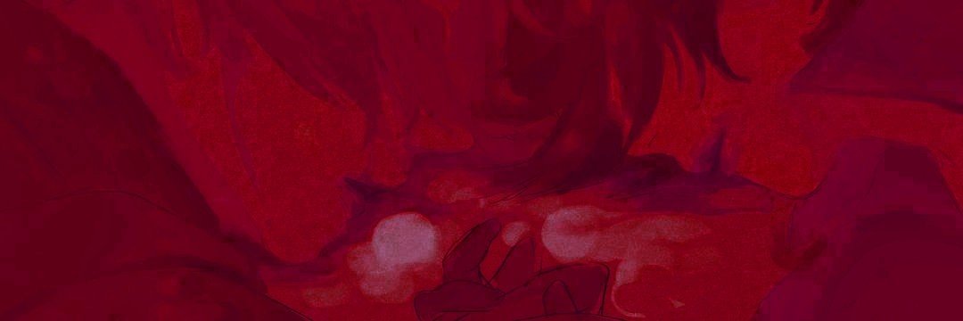 lil's banner