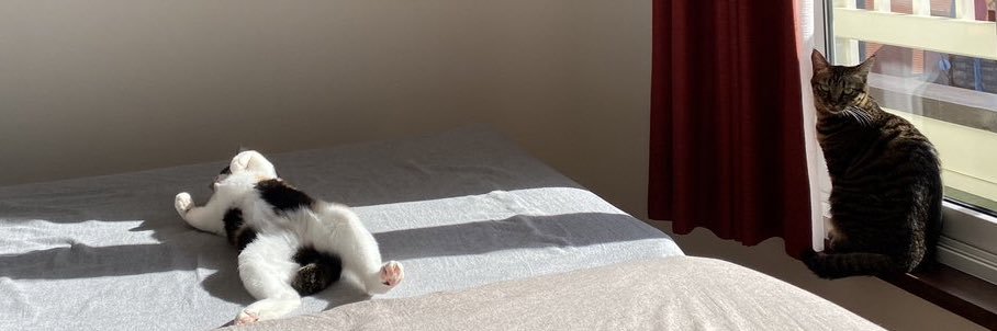 ひらのようこ's banner