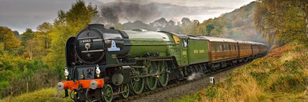60163 Tornado's banner