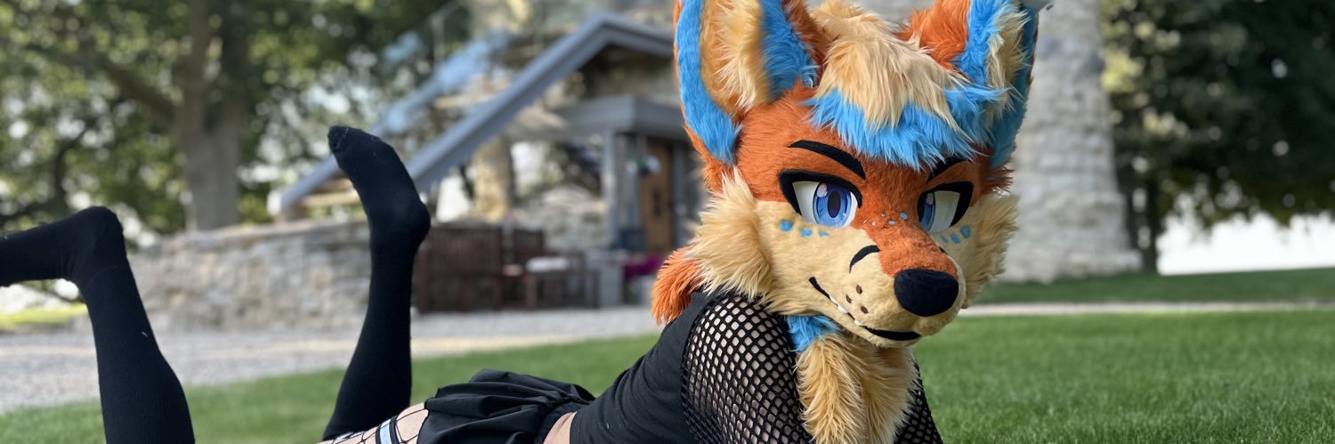 ApolloFolfsky🔜MP's banner