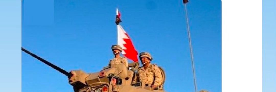 رياض الذوادي's banner