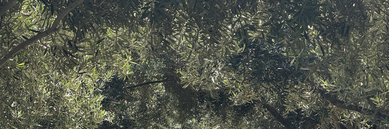 James D's banner