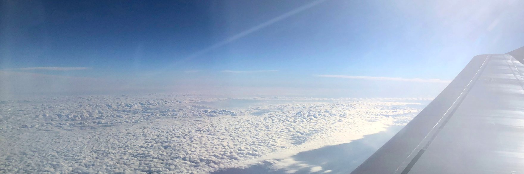 ﾊﾆｰ･ｻﾞ･ﾌﾟｰ ⛸️🪽Mystery Tour搭乗中✈️'s banner