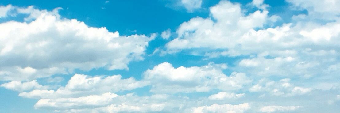 うさぎ菜's banner