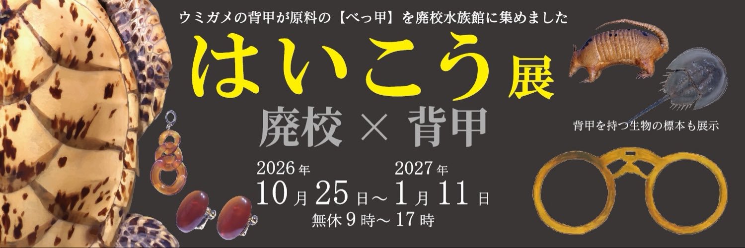 むろと廃校水族館's banner