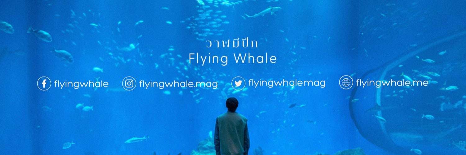 วาฬมีปีก | Flyingwhale's banner