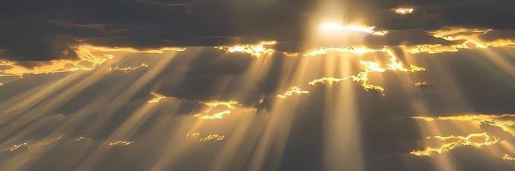🦋ăsmaa🦋's banner