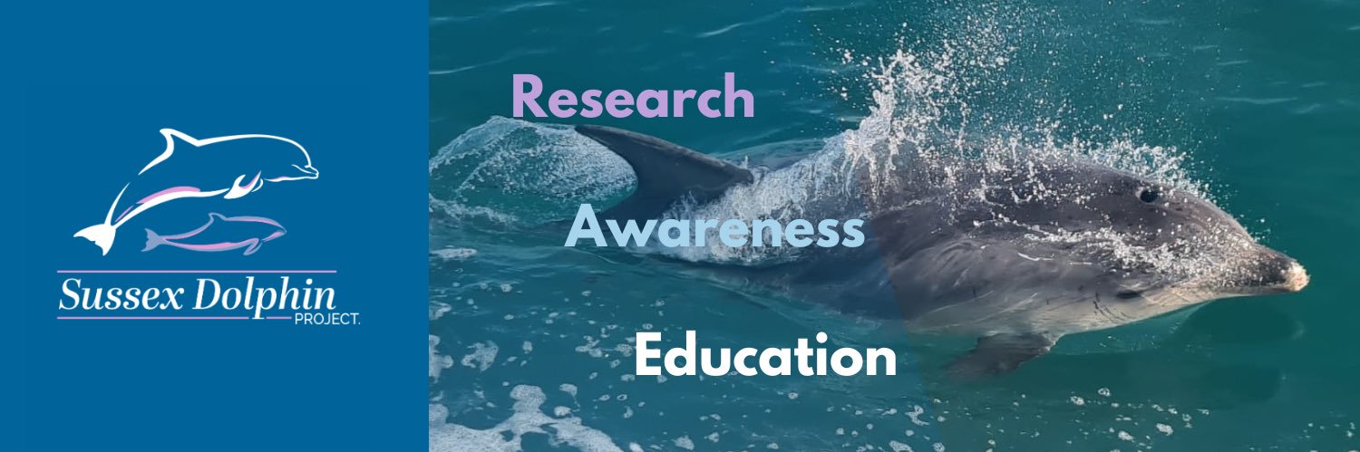 Sussex Dolphin Project 🐬's banner
