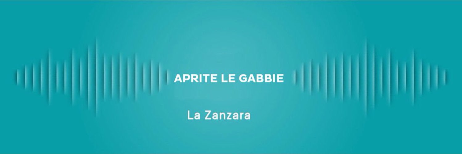 Tipə Da Zanzara's banner