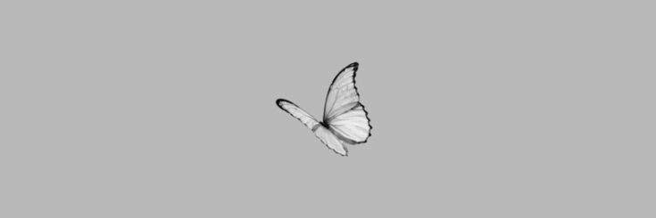 M.'s banner