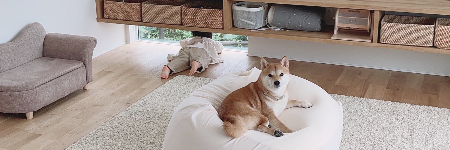 柴犬りんご郎's banner