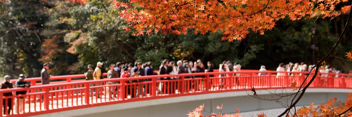 ゆっきー's banner