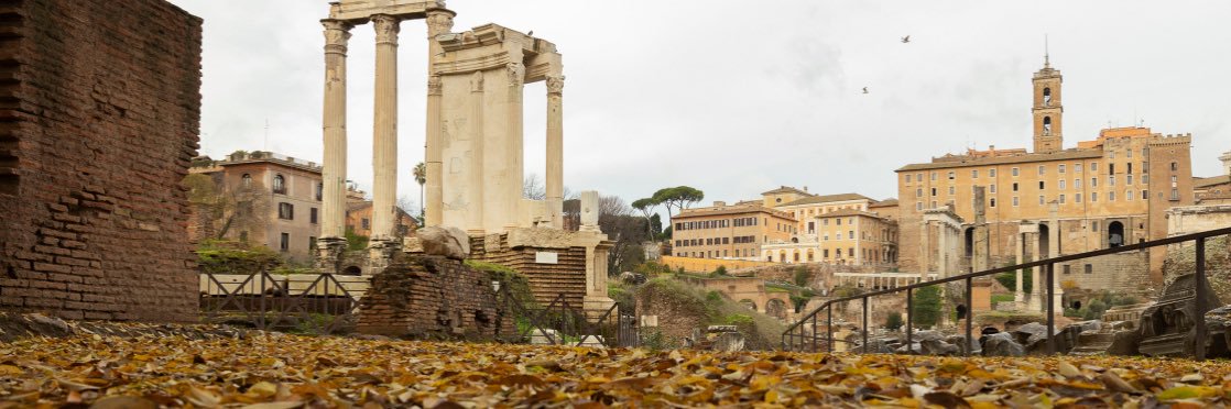 🏛 Colosseo • Foro Romano • Palatino's banner