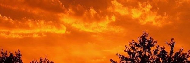 ليلى's banner